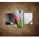 Obrazy na stenu - Mokré dievča s tulipánom - 3dielny 90x60cm