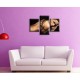 Obrazy na stenu - Zmyselná žena - 3dielny 90x60cm