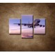 Obrazy na stenu - Lietadlo v oblakoch - 3dielny 90x60cm
