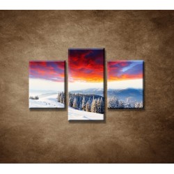 Obrazy na stenu - Zimná príroda - 3dielny 90x60cm