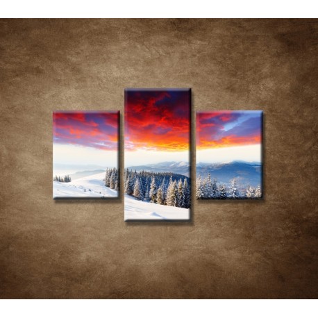 Obrazy na stenu - Zimná príroda - 3dielny 90x60cm