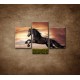Obrazy na stenu - Čierny kôň - 3dielny 90x60cm
