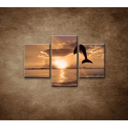 Obrazy na stenu - Skákajúci delfín - 3dielny 90x60cm