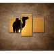 Obrazy na stenu - Ťava na Sahare - 3dielny 90x60cm