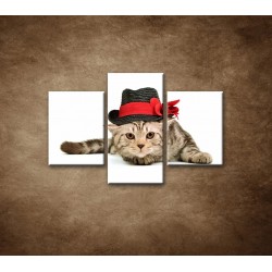 Obrazy na stenu - Mačiatko v čiernom klobúku - 3dielny 90x60cm