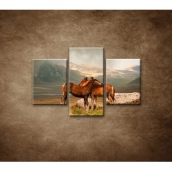 Obrazy na stenu - Žriebätá - 3dielny 90x60cm
