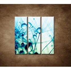 Obrazy na stenu - Kvapky vody na rastline - 3dielny 90x90cm
