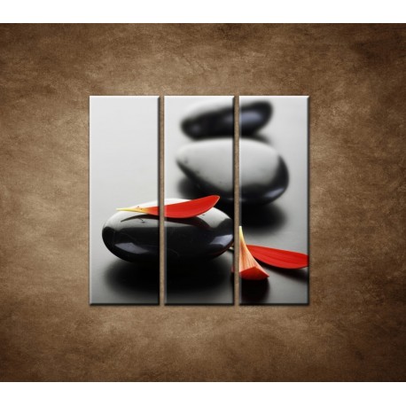 Obrazy na stenu - Čierny kameň s červeným lupeňom - 3dielny 90x90cm