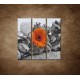 Obrazy na stenu - Oranžová gerbera a kamene - 3dielny 90x90cm