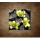 Obrazy na stenu - Kamene s kvapkami a orchideou - 3dielny 90x90cm