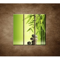 Obrazy na stenu - Bambus a kamene - 3dielny 90x90cm