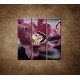 Obrazy na stenu - Orchidea na kameni - 3dielny 90x90cm