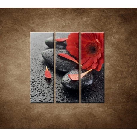 Obrazy na stenu - Červená gerbera a kamene - 3dielny 90x90cm