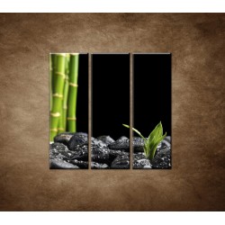 Obrazy na stenu - Čierne kamene a bambus - 3dielny 90x90cm