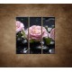 Obrazy na stenu - Kvety kamélie a kamene - 3dielny 90x90cm