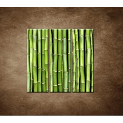 Obrazy na stenu - Bambus - 3dielny 90x90cm