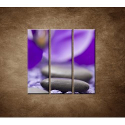 Obrazy na stenu - Kamene s fialovým kvetom - 3dielny 90x90cm