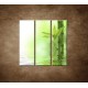 Obrazy na stenu - Bambusový výhonok - 3dielny 90x90cm