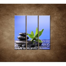 Obrazy na stenu - Bambusový výhonok na kameni - 3dielny 90x90cm