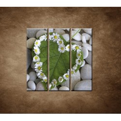 Obrazy na stenu - Srdce z kvetov - 3dielny 90x90cm