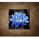 Obrazy na stenu - Modrý kvet na kameňoch - 3dielny 90x90cm
