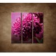 Obrazy na stenu - Kvetinové pozadie - 3dielny 90x90cm