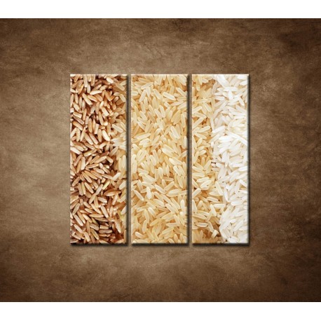 Obrazy na stenu - Tri druhy ryže - 3dielny 90x90cm