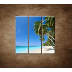 Obrazy na stenu - Pláž s palmami - 3dielny 90x90cm