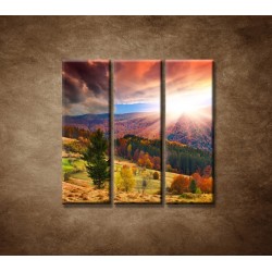 Obrazy na stenu - Farebná jeseň - 3dielny 90x90cm
