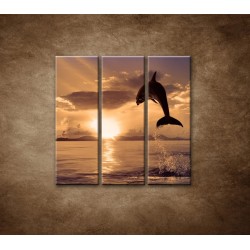Obrazy na stenu - Skákajúci delfín - 3dielny 90x90cm