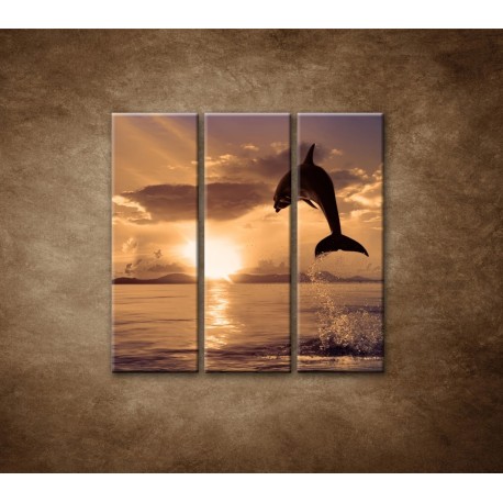 Obrazy na stenu - Skákajúci delfín - 3dielny 90x90cm