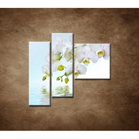 Obrazy na stenu - Biela orchidea nad hladinou - 3dielny 110x90cm