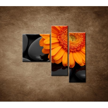 Obrazy na stenu - Oranžová gerbera na kameňoch - 3dielny 110x90cm