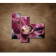 Obrazy na stenu - Orchidea na kameni - 3dielny 110x90cm