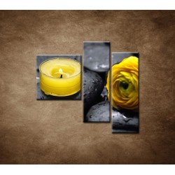 Obrazy na stenu - Žltá sviečka a kvet - 3dielny 110x90cm
