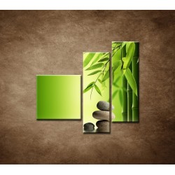 Obrazy na stenu - Bambus a kamene - 3dielny 110x90cm