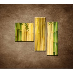 Obrazy na stenu - Bambusové stonky - 3dielny 110x90cm