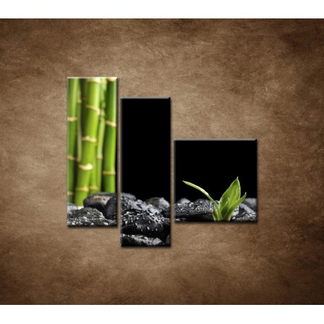 Obrazy na stenu - Čierne kamene a bambus - 3dielny 110x90cm