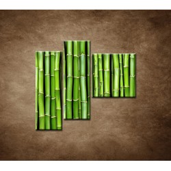 Obrazy na stenu - Bambus - 3dielny 110x90cm