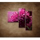 Obrazy na stenu - Kvetinové pozadie - 3dielny 110x90cm