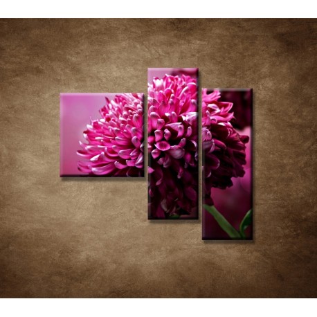 Obrazy na stenu - Kvetinové pozadie - 3dielny 110x90cm