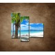 Obrazy na stenu - Pláž s palmou - 3dielny 110x90cm