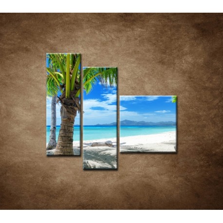 Obrazy na stenu - Pláž s palmou - 3dielny 110x90cm