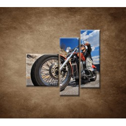 Obrazy na stenu - Motorkár - 3dielny 110x90cm
