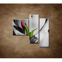 Obrazy na stenu - Dievča s tulipánom - 3dielny 110x90cm