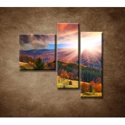 Obrazy na stenu - Farebná jeseň - 3dielny 110x90cm