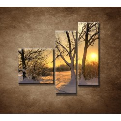 Obrazy na stenu - Krajina v zime - 3dielny 110x90cm