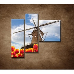 Obrazy na stenu - Mlyn s tulipánmi - 3dielny 110x90cm
