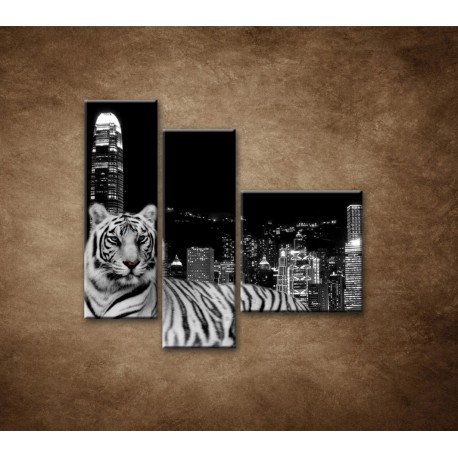Obrazy na stenu - Mestský tiger - 3dielny 110x90cm