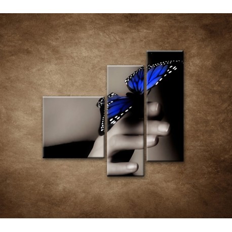 Obrazy na stenu - Modrý motýľ - 3dielny 110x90cm